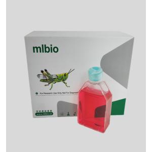 人肺動脈成纖維細(xì)胞主圖